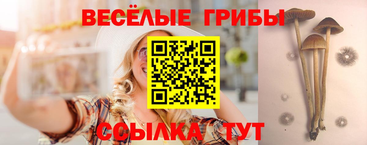 Псилоцибиновые грибы Psilocybine cubensis  Вход с VPN  что такое   Тимашёвск 